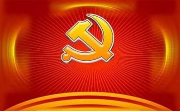 2024年党组述职报告7篇