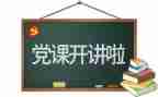 局党组工作报告5篇