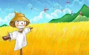 稻草人心得体会推荐6篇