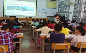 视导课心得体会5篇