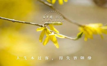 大学生得与失心得体会推荐7篇