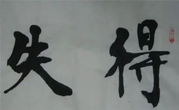 初中的得与失作文500字精选5篇