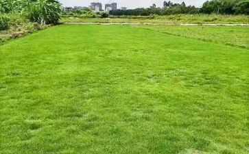 房地产销售代理合同模板5篇