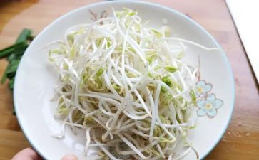 洗豆芽的作文8篇