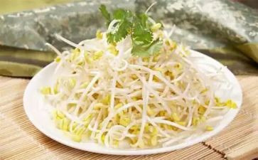 摘豆芽的作文7篇