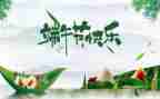 端午节的事作文300字作文模板6篇
