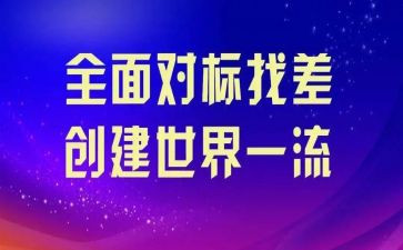 政治对标心得体会参考5篇
