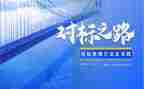 企业对标工作总结模板8篇