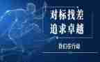 政治对标心得体会精选6篇