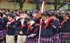 小学生少先队员演讲稿7篇