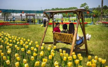 多彩的童年,作文优质5篇