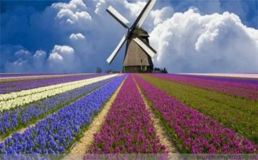 多彩的童年,作文最新5篇