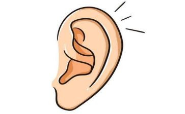 回响在耳边的声音作文最新5篇