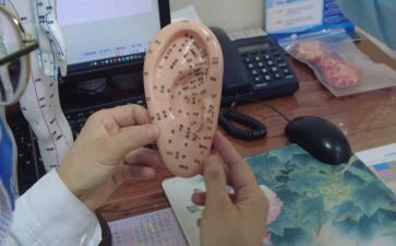 语言耳朵教案最新5篇