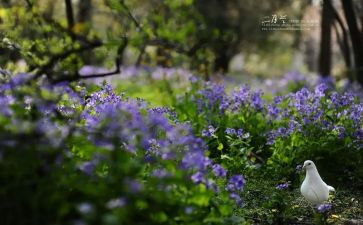 幼儿园十二月工作计划优秀6篇