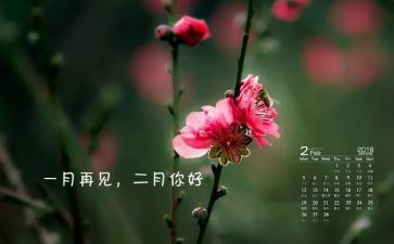 二月份工作总结模板8篇