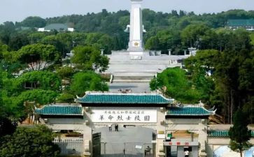 鄂豫皖心得体会500字最新8篇