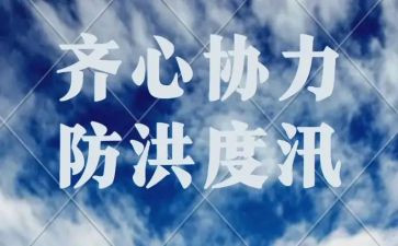 汛期防洪工作总结6篇