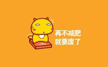 减肥餐调查报告5篇
