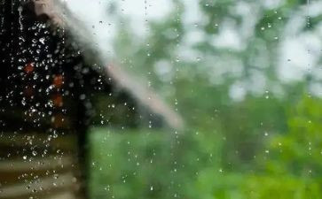 成长风雨作文7篇