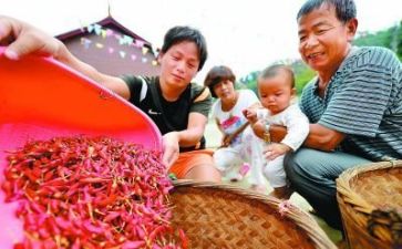 精准扶贫贫调研报告精选6篇