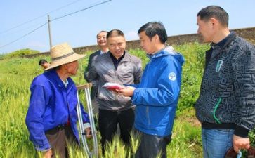 精准扶贫贫调研报告5篇