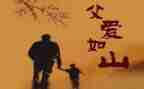 忆父亲的读后感优秀7篇