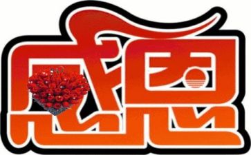 感恩老师的作文5篇