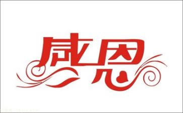 以感恩为主题活动总结参考5篇