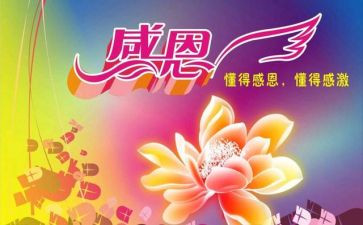 向老师感恩的演讲稿6篇