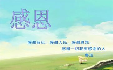 感恩心得体会优质8篇