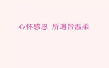 感恩她作文600字最新6篇