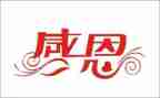以感恩为主题活动总结参考5篇
