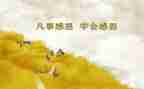 感恩老师的作文优质8篇