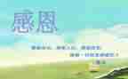 感恩,作文优质5篇