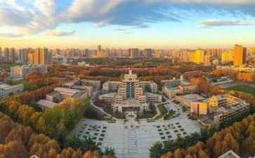 高校心得精选5篇