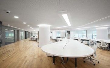 公司个人总结与计划6篇