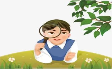作文观察植物300字精选7篇