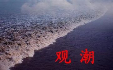 观潮的作文通用7篇