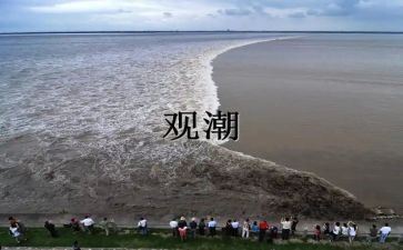观潮读后感250字左右5篇