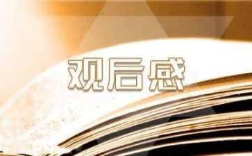 宪法心得观后感6篇