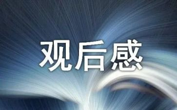 观看长津湖之水门桥观后感6篇