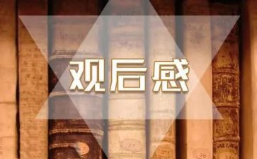 青年社观后感心得体会通用7篇