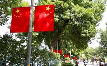 11月小学降国旗讲话稿5篇