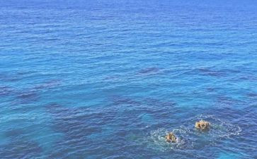 海的老人读后感600字6篇