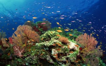 海底两万里的读后感600字初中6篇