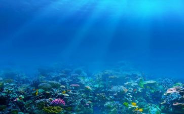 海底两万里读后感350左右7篇