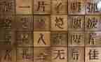 汉字的演变作文5篇