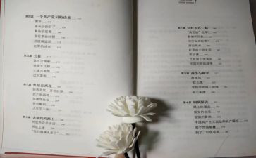 红星照耀中国500字读后感5篇