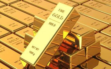黄金鼠读后感7篇